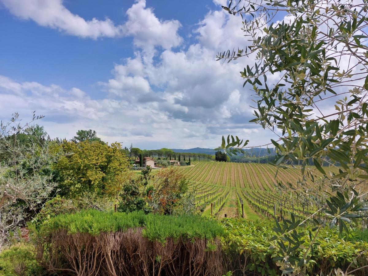 Agriturismo San Sano Gaiole in Chianti Exteriér fotografie