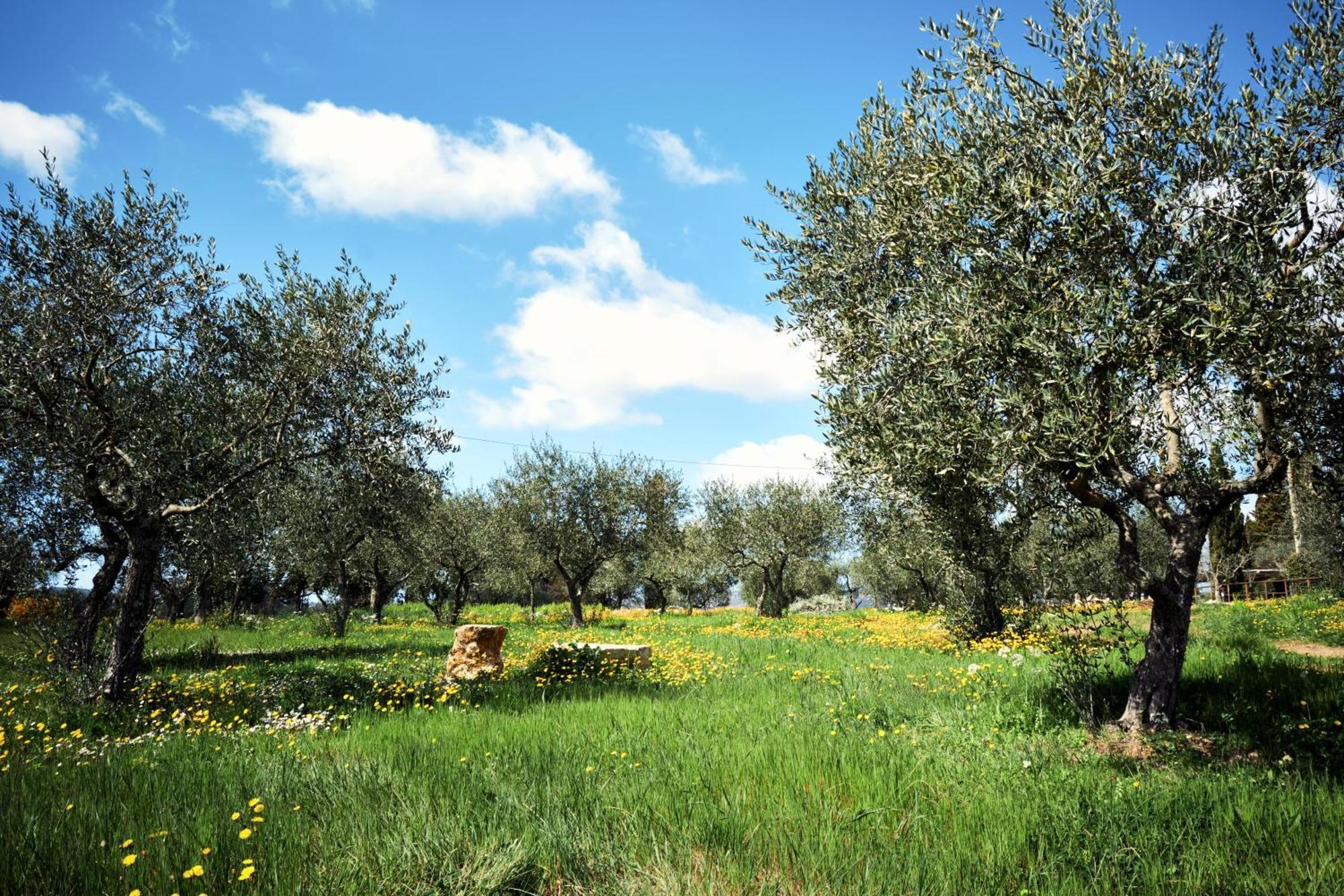 Agriturismo San Sano Gaiole in Chianti Exteriér fotografie